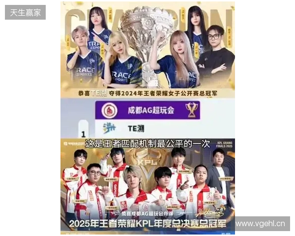 TE溯不敌AG超玩会告别挑杯